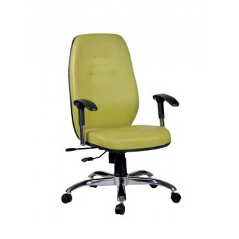 صندلی کارشناسی 1006