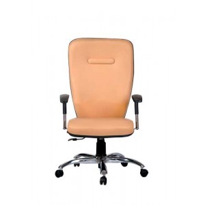 صندلی کارشناسی 1008